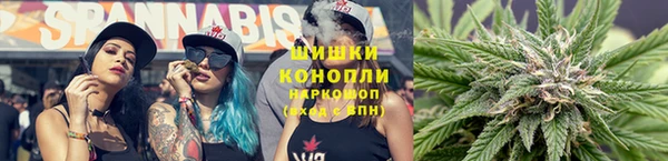 твердый Бородино