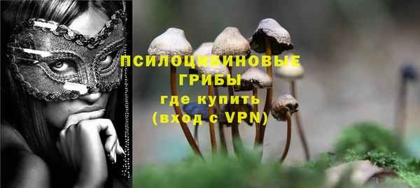твердый Бородино