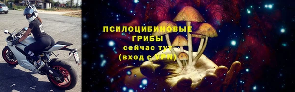 твердый Бородино