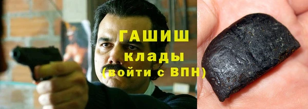 твердый Бородино
