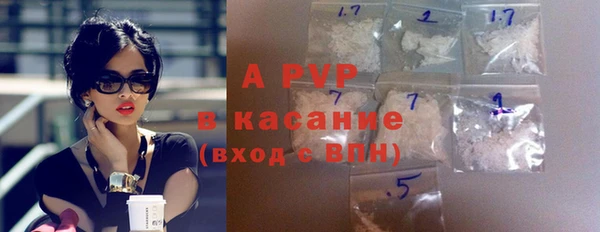 твердый Бородино