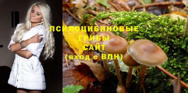 твердый Бородино