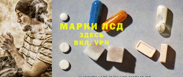 твердый Бородино