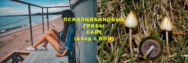 твердый Бородино