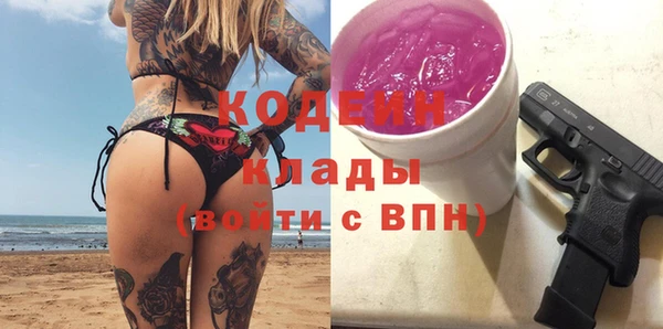 твердый Бородино