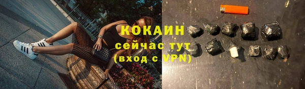 твердый Бородино