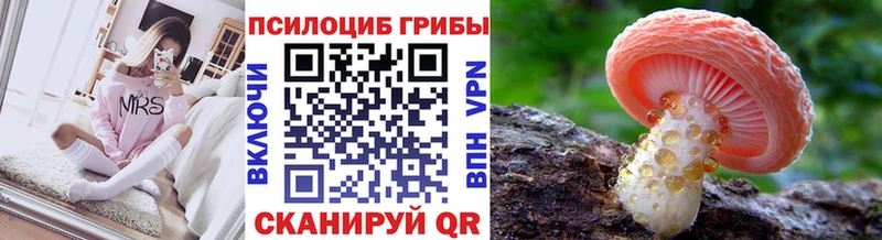 купить наркотики сайты  Пенза  мориарти состав  Псилоцибиновые грибы MAGIC MUSHROOMS 